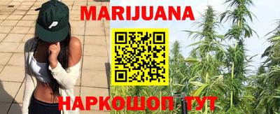 шишки Будённовск