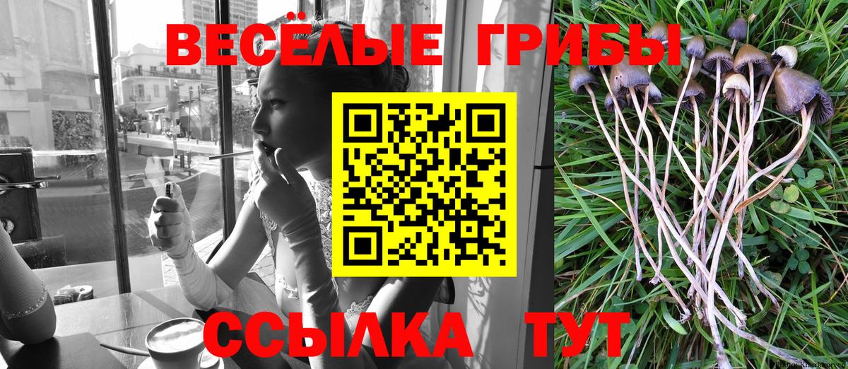 Псилоцибиновые грибы Cubensis  Вход с VPN  купить   Галлюциногенные грибы Psilocybe  Кушва 