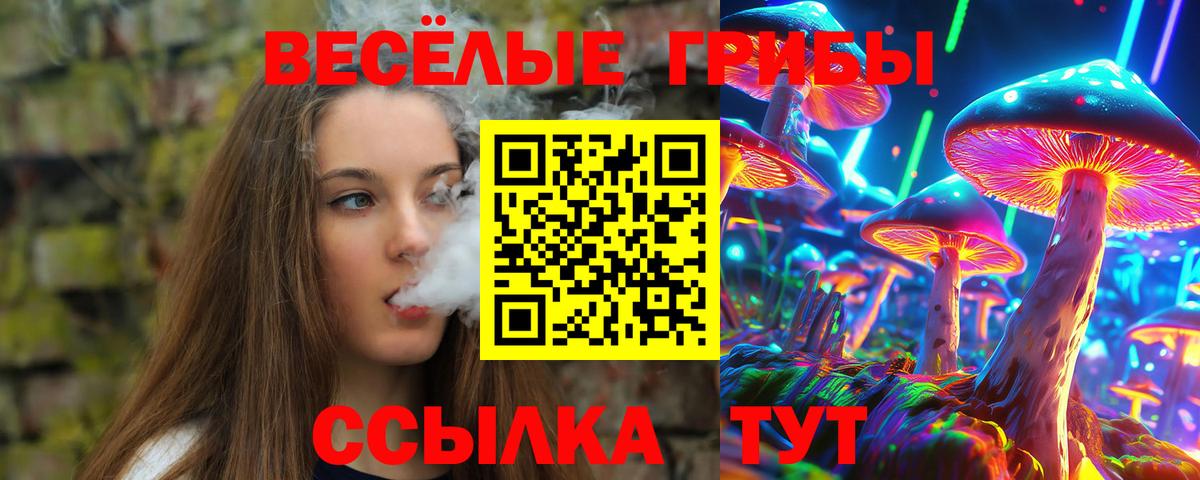 Псилоцибиновые грибы Cubensis Кушва